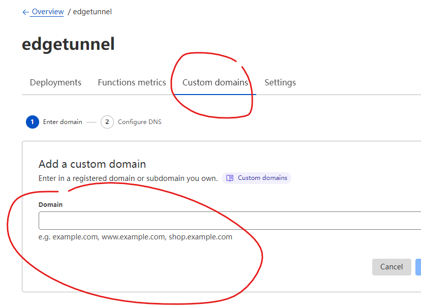 custom_domain